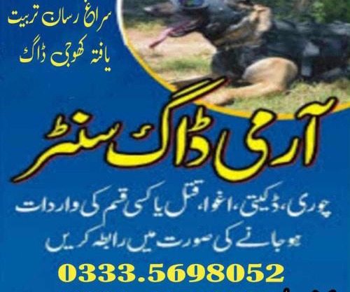 Khoji Dog Center Jhang