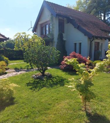 Kuca na Savi - Stari hrast