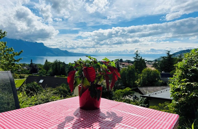 L'Appart Riviera panoramic view