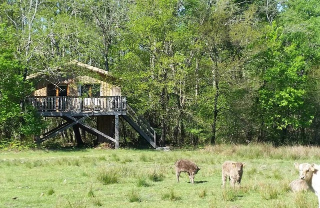 La Cabane Pastorale - Cabanac ET Villagrains
