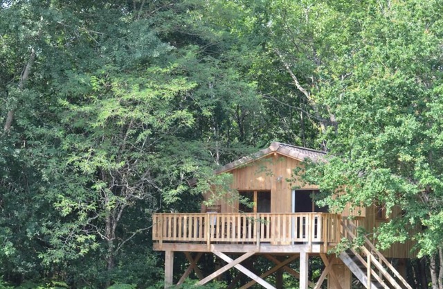Vrbo Property