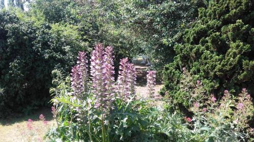 La maisonnette du Jardin Fleuri
