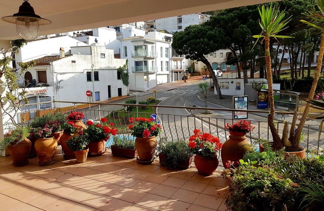 La Mejor terraza de Tamariu