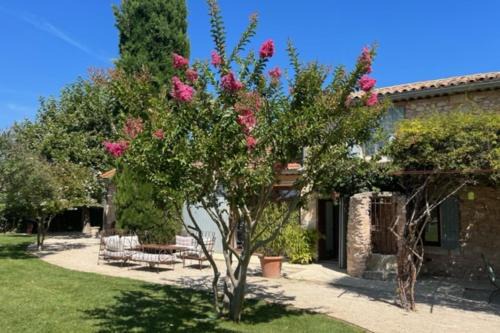 La Pergoline - Large renovated farmhouse with pool and jacuzzi
