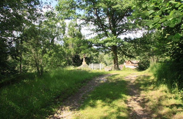 La Saucée