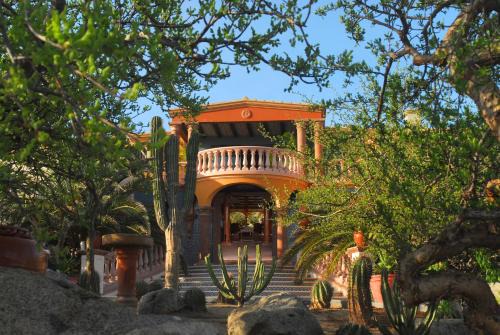 La Valise Los Cabos