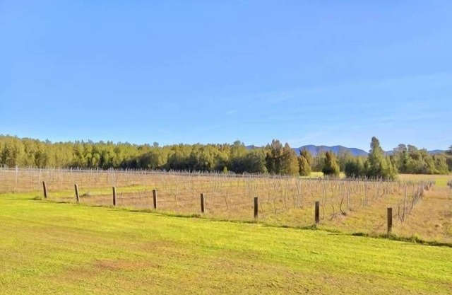 Función de La Vigna y alojamiento para bodas, todo el viñedo tiene capacidad para 48