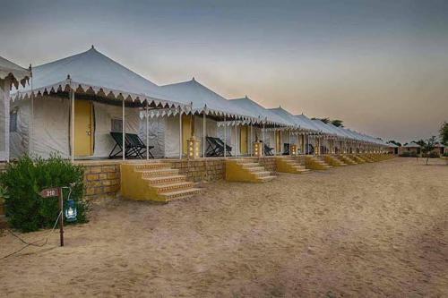 Lafing Camel Safari Staying under the Star