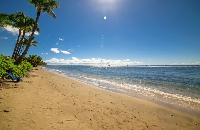 Lahaina Shores Beach Resort Studio (226)