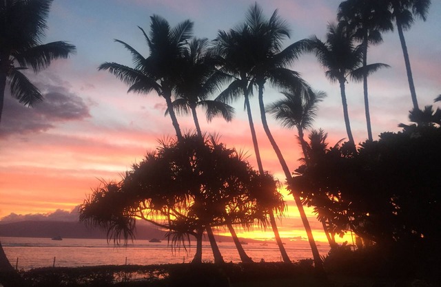 Lahaina, la mejor propiedad de vacaciones frente a la playa!