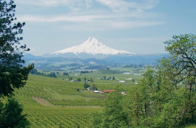 Grande Country Lodge con hermosas vistas