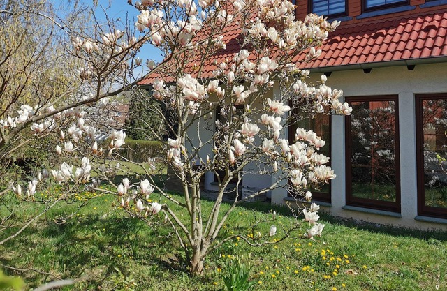 Beautiful, large house with sauna, large garden and S-Bahn connection to Berlin