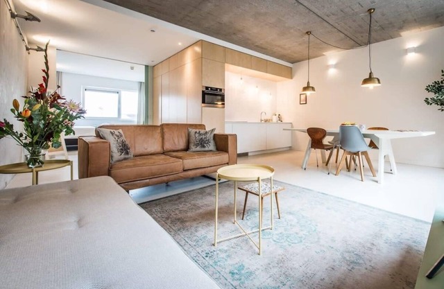 Large One-bedroom Apartment