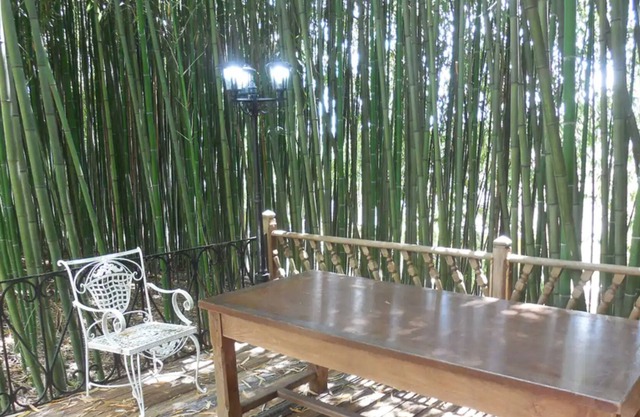 #Cublac under the bamboos #Pavilion with Large Garden and Terrace