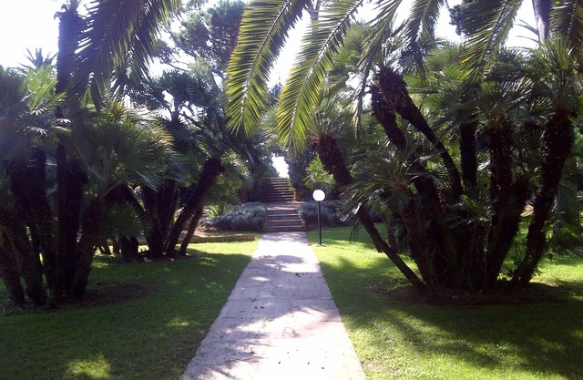 Palmeral con piscina junto al mar