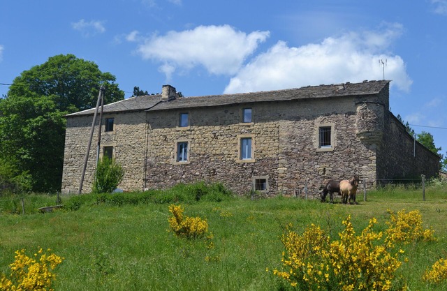 Le Grand Duc, Alquiler le Petit Duc