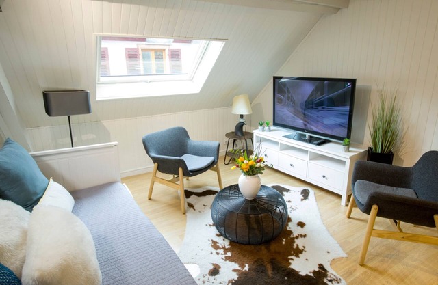 Les Tournesols **, 2-bedroom 2-bathroom apartment in the historic heart of Kaysersberg