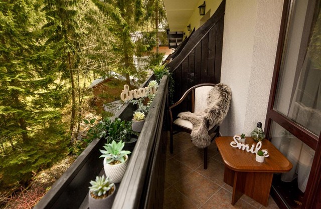 WILD & FREE - Ideal Room with a view
