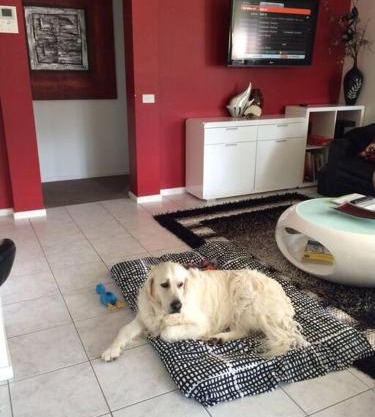 LILLI PILLI SUBLIME Family and Dog Friendly by the Beach