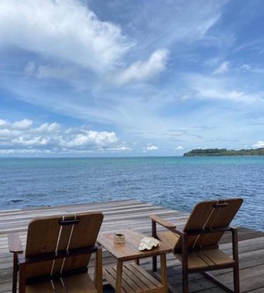Lily's Blue View