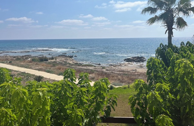 Location, Location! Lovely beachfront apartment with restaurant onsite.