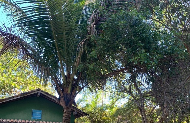 Loft-house Dentro da Vila de Caraiva