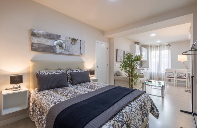 LOFT EN EL CENTRO DE GRANADA (RECOGIDAS)