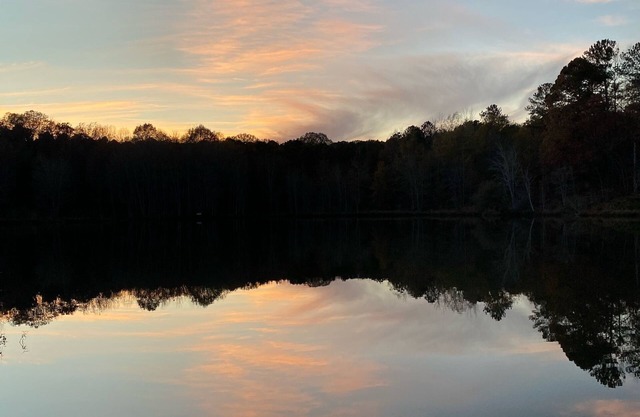 Log Cabin on 5 acre pond - fishing and wildlife paradise!