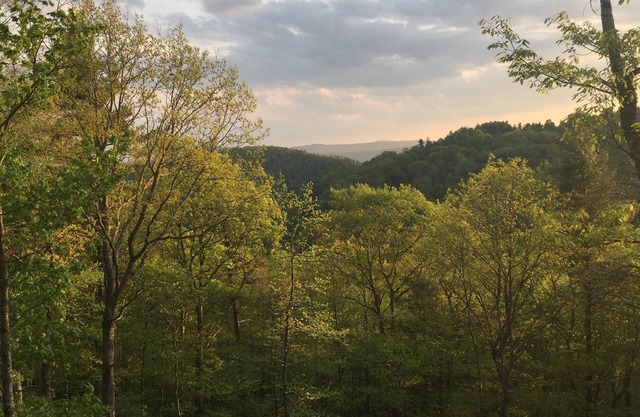 Log Cabin en 9 acres privados en Blue Ridge Parkway con hermosas vistas