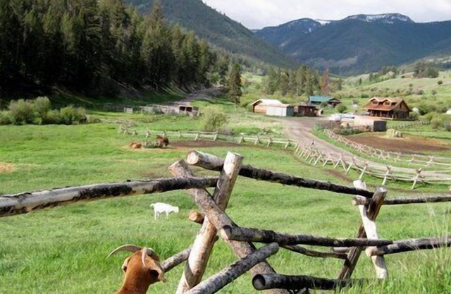 Cabaña de madera en el histórico Yellowstone Park Ranch en el McDonald Ranch