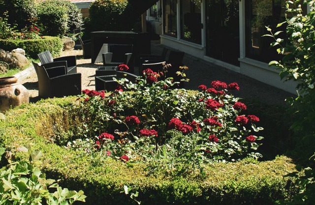 Hotel Black and Green