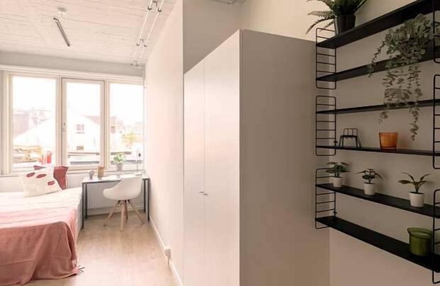 Lovely Studio w kitchen