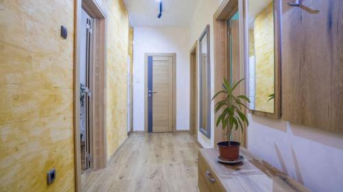 Lukas Apartment