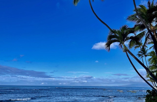 Ven a experimentar Aloha