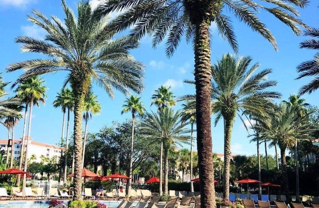 Luxury 2 Bedroom Condo sleeps 8 available over July 4th!