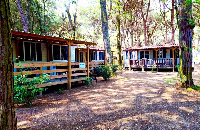 Luxury Chalet near the sea! (no: 805)