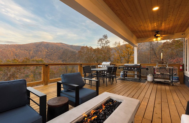Luxury Cozy Mountain Treehouse w/ Hot Tub + Gym mins to AVL + BlkMtn