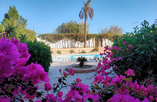 Luxury Garden house pool WiFi Hurghada