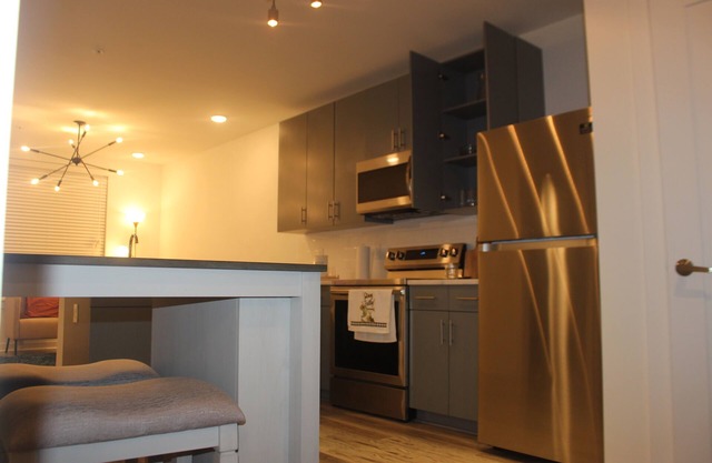 Luxury OneBDRM APT with Skyline Rooftop Access