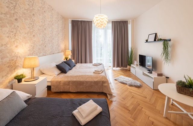 Luxury spacious apartment in the center