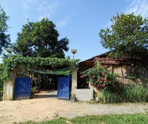 Madam Sokha Homesteading