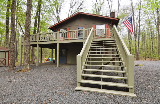 The Williwaw in the Woods