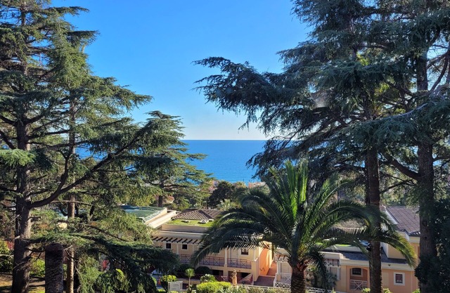 Magnificent Sea View, Swimming Pool, Great Comfort, Air Conditioning and Parking