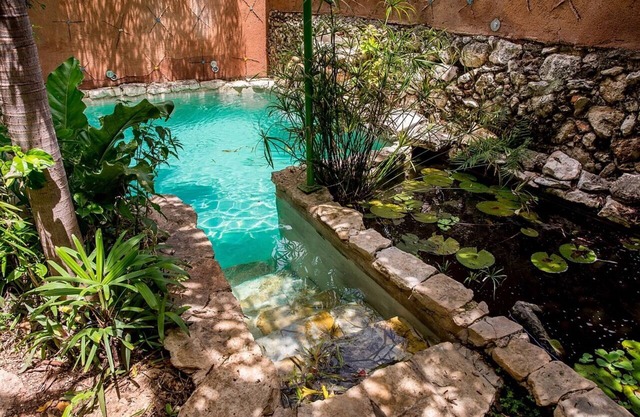 Majikal BnB Casa de los Xolos