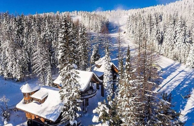 Make Memories at this luxe treehouse; hot tub; PS5; direct trail / slope access