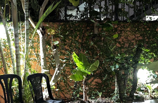 MANAYA Bed & Breakfast