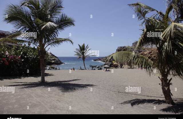 Apartamento Marina Palace