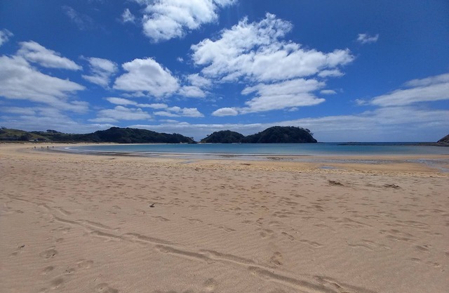 Unidad de vacaciones Matapouri 4