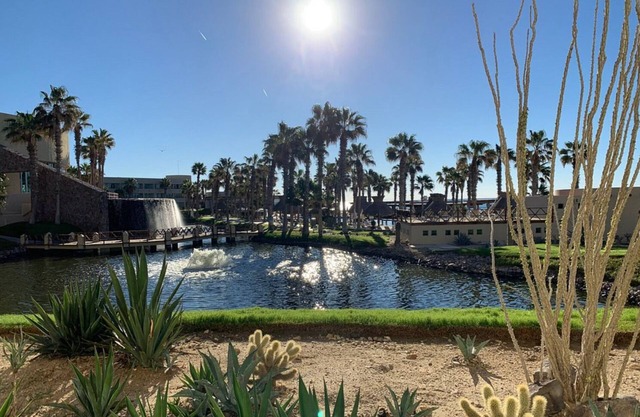 Mayan Palace at Vidanta Puerto Peñasco - 1 BR Studio