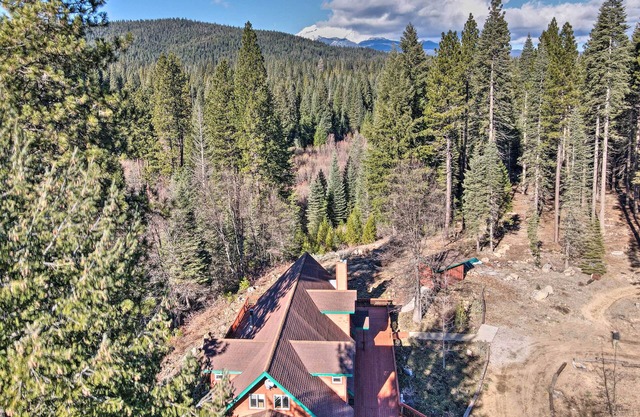 McCloud Cabin w/ 3.5 Miles of Private Hiking!